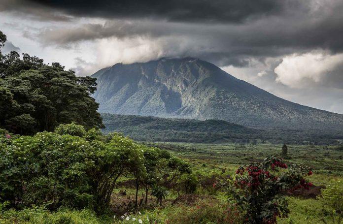 Virunga Mountains — volcanic peaks and montane forest in the gorilla trekking region