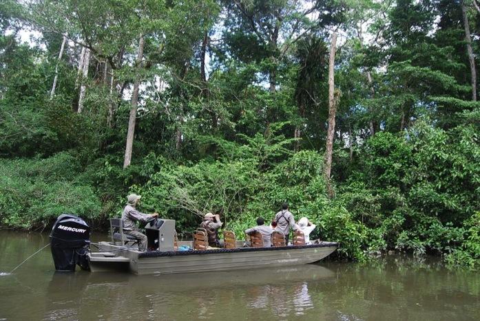 Amazon river safari — dense jungle along the water