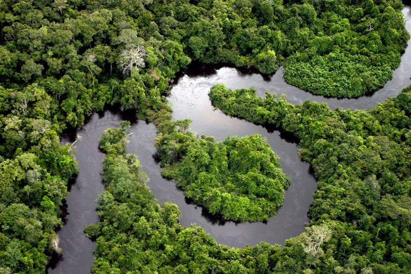 Aerial view of winding waterways through dense Amazon rainforest in Brazil