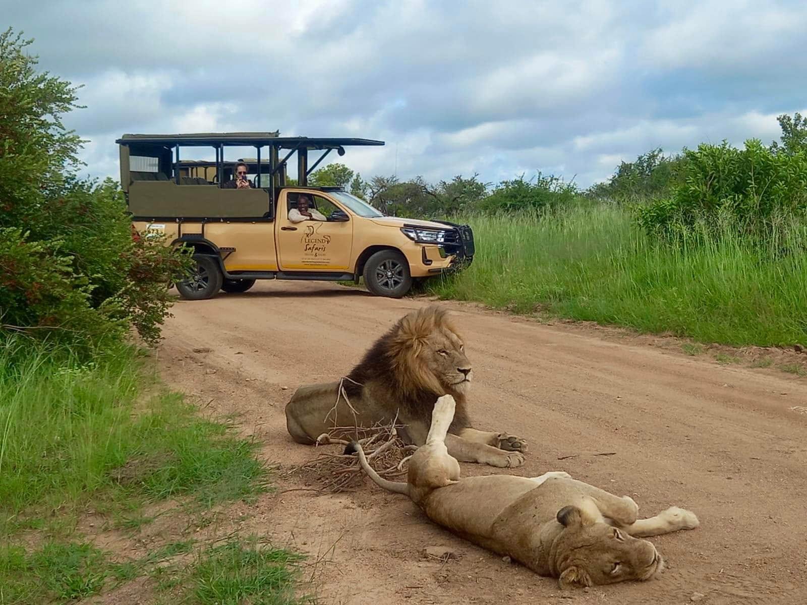 Safari vehicle at sunset in Kenya