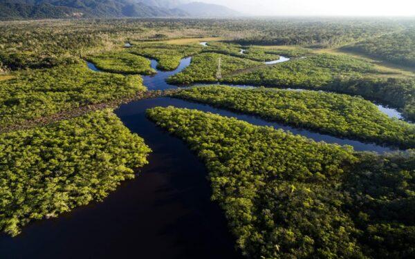 Aerial view of the Pantanal — winding rivers and wetlands, Brazil
