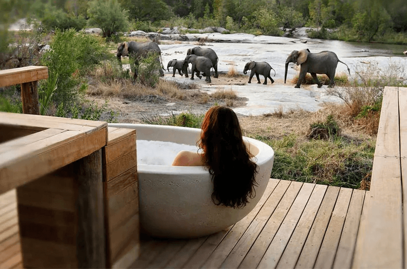 Woman enjoying a freestanding bath at a luxury safari lodge South Africa while elephants walk past by the river