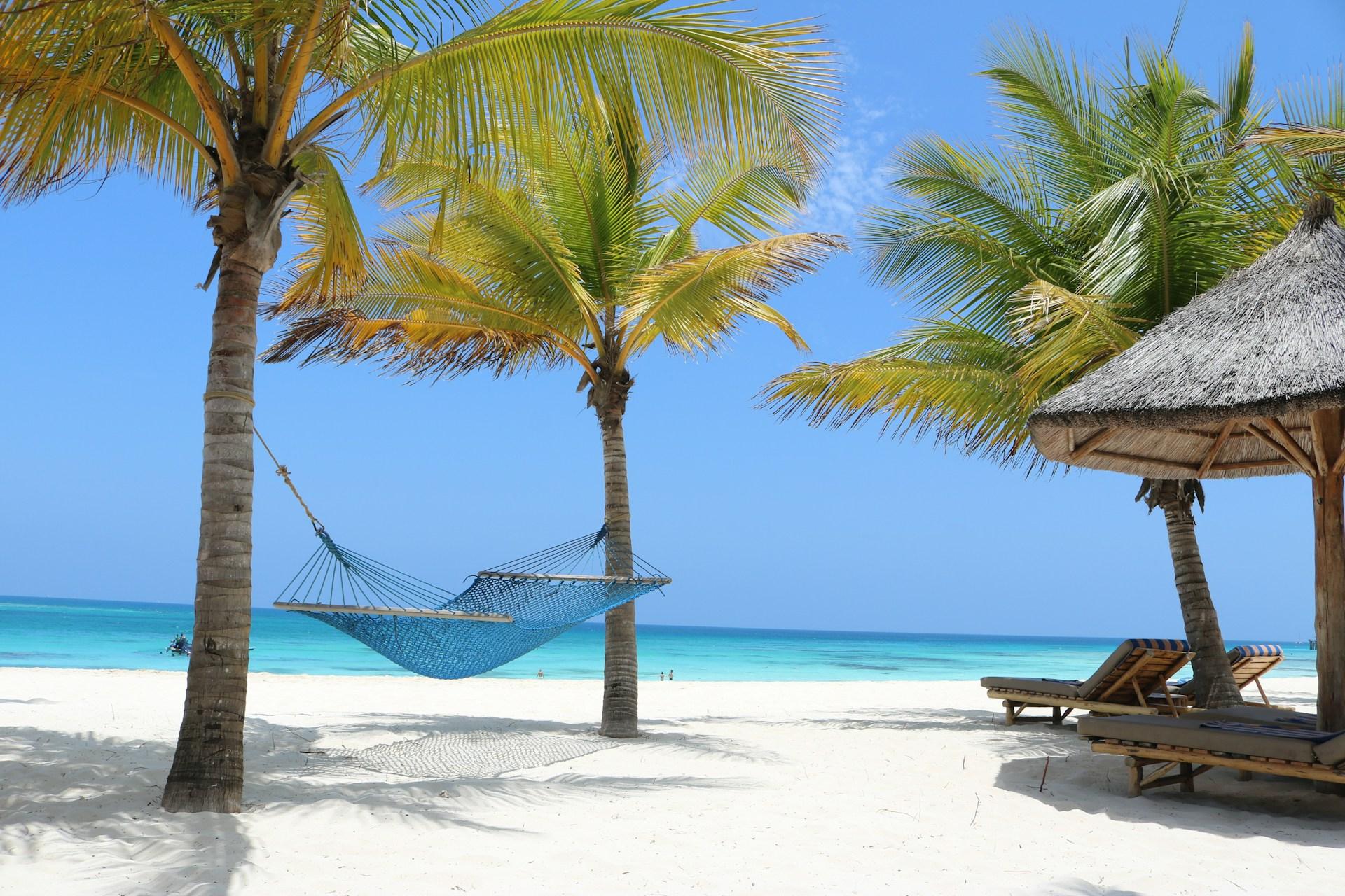 Beach setting representing a Zanzibar safari extension