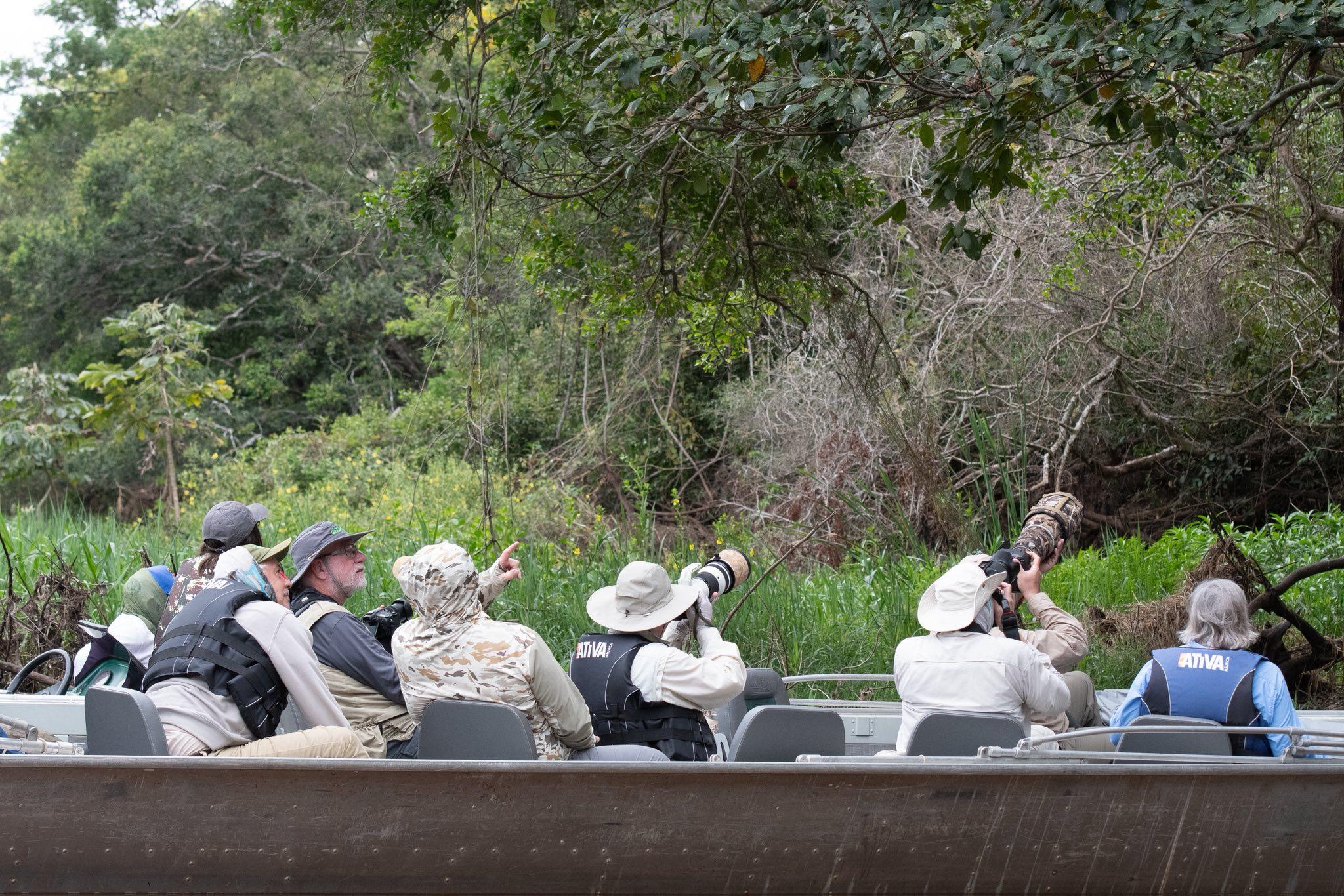 Small boat safari on a Pantanal river in Brazil