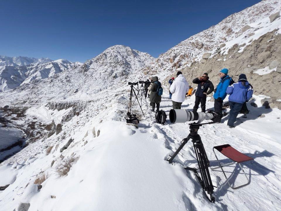 High-altitude snow leopard expedition landscape in Ladakh