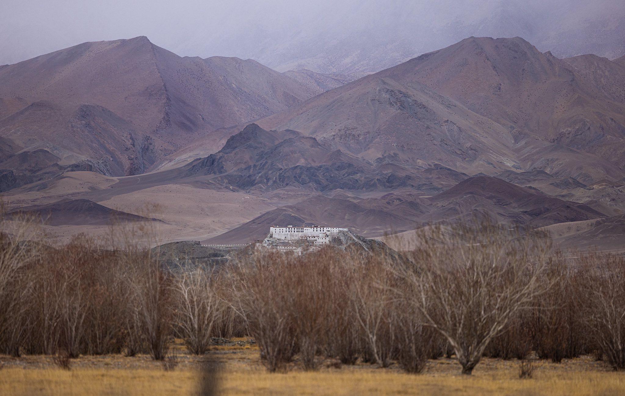 Mountain habitat in Ladakh where snow leopard trekking expeditions operate