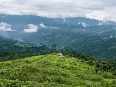 Bagdogra