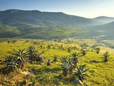 Eswatini