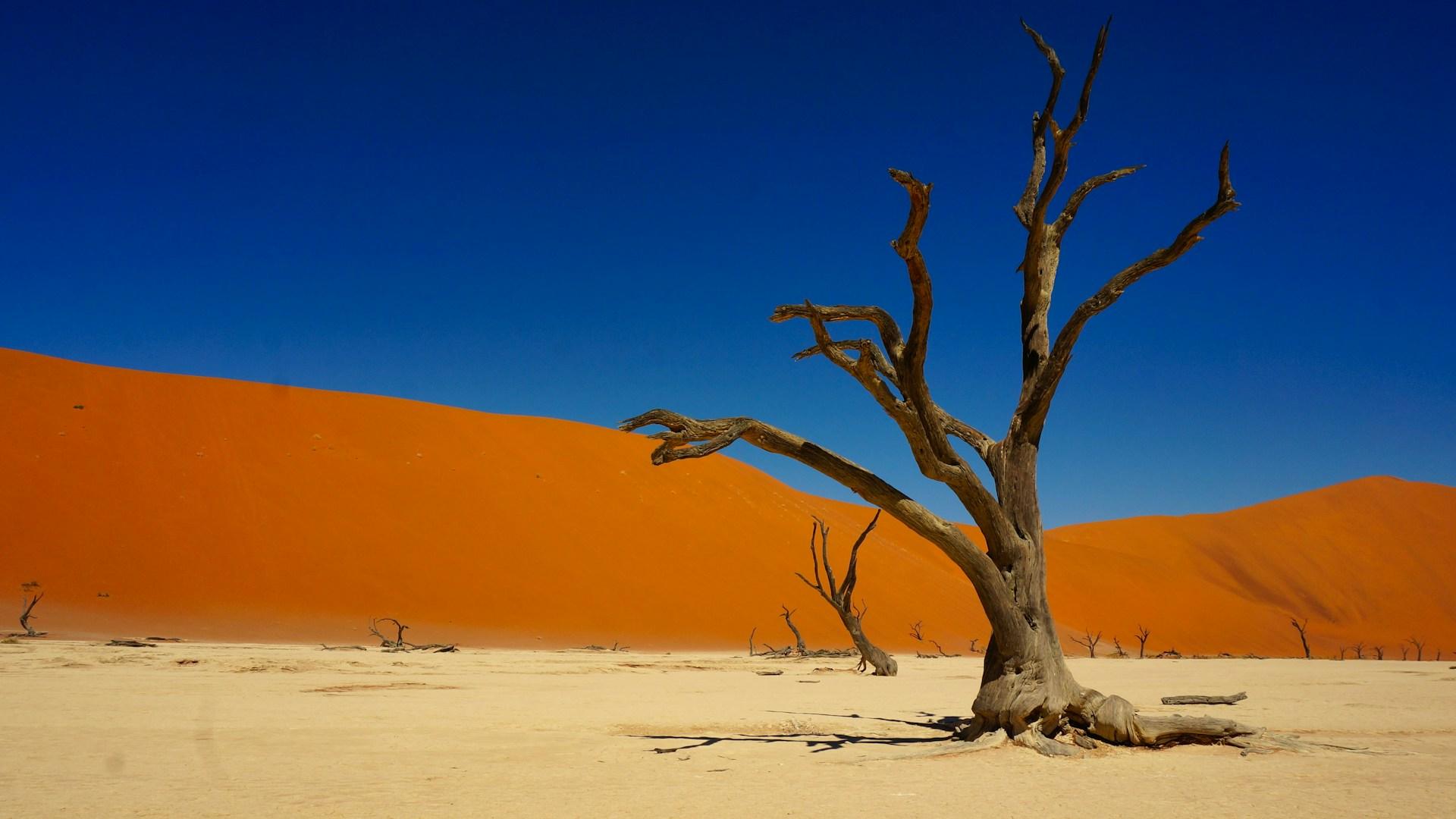 Namib-Naukluft National Park