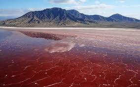 Lake Natron