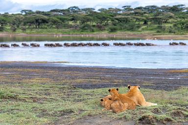 Lake Ndutu