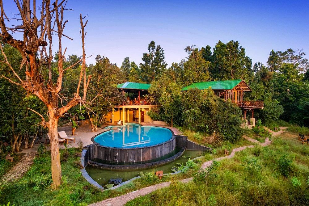 Indian jungle lodge-style safari accommodation near tiger country