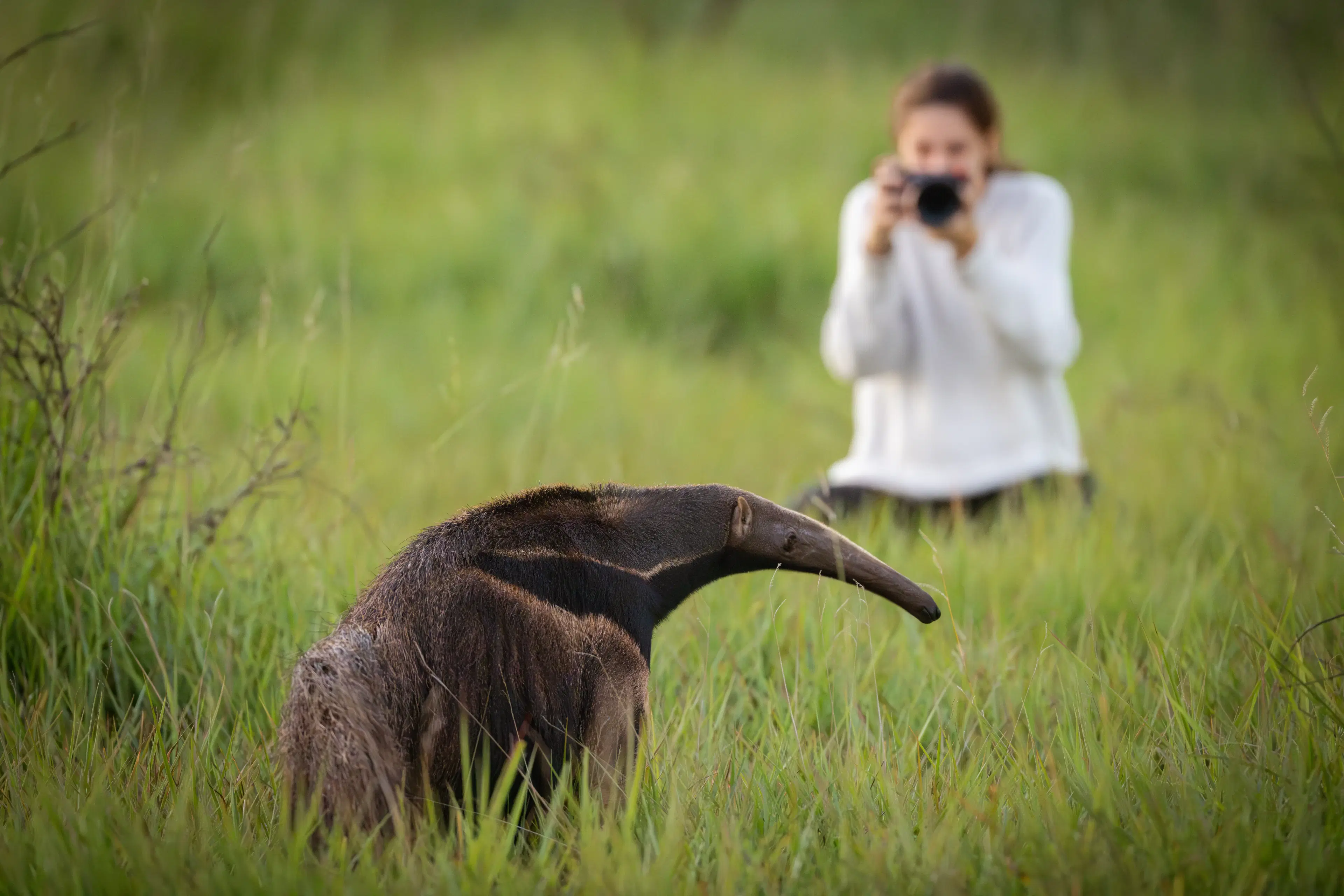 Jaguar Wildlife Tours team