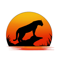 Jaguar Wildlife Tours