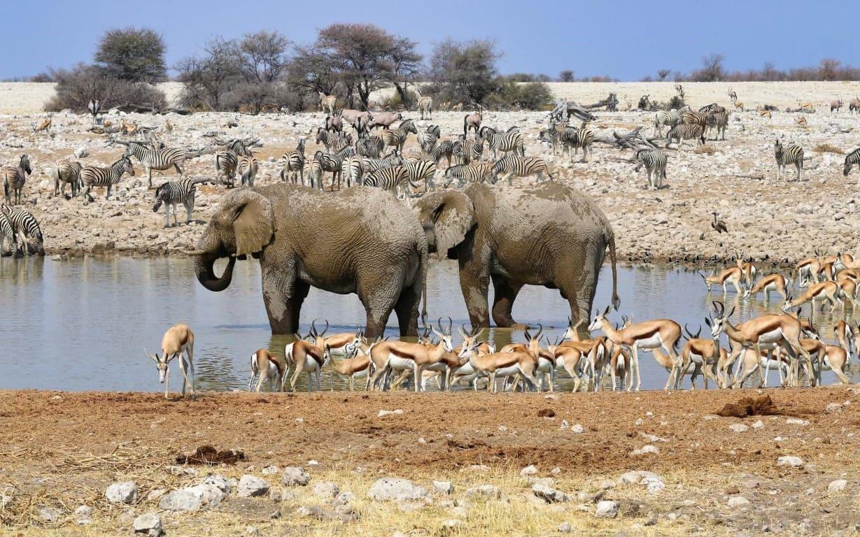 Etosha National Park