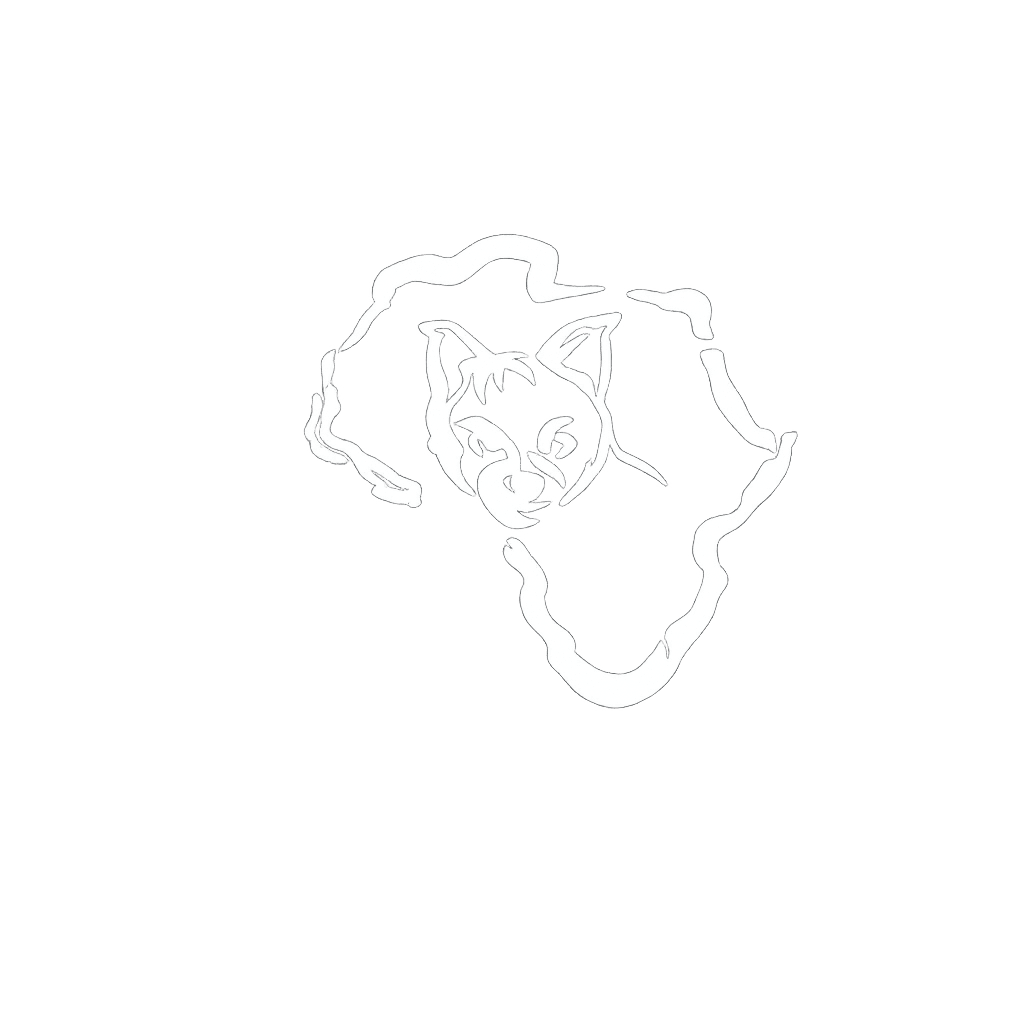 Aardwolf Africa Adventure Safaris